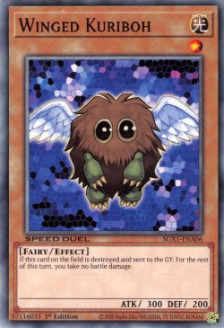 Winged Kuriboh [SGX1-ENA06] Common